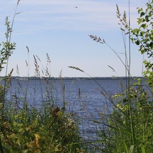 Meet your Posher, Taffryn